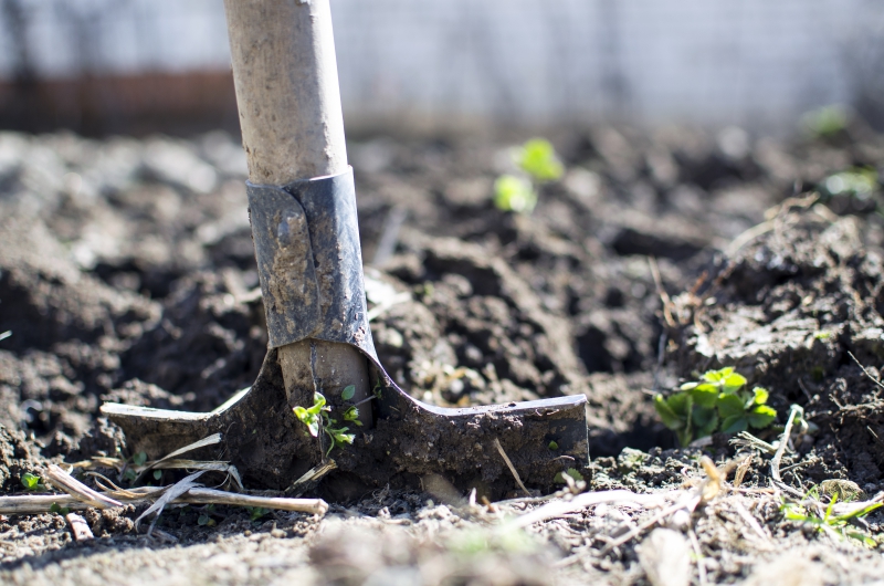 jardinerie-LA CROIX SUR ROUDOULE-min_equipment-2047314